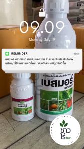 เบสมอร์ 100 ซีซี สารจับใบอย่างดี ตราเจียไต๋  สารช่วยเพิ่มประสิทธิภาพ เสริมฤทธิ์ให้แก่สารเคมีที่ผสม ช่วยให้สารเคมีดูดซึมเข้าพืชได้รวดเร็ว ลดการใช้สารเคมี ประหยัดต้นทุน