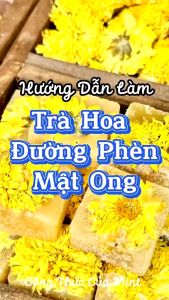 Trà Hoa Cúc Đường Phèn An Phương Trà Thảo Mộc Hoa Cúc Mật Ong Thanh Nhiệt Giải Độc Cơ Thể T11