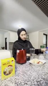 Susu Kedelai Bubuk MDL 525 NEW / Susu Kedelai Mandala 525