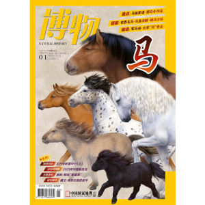 Geographic Museum 26th January New Issue 25th January-December Single Issue Science Popularization Magazine Collection