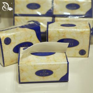 【20packs】DWY tissue viral 5-PLY  Tisu Facial Tissue Tissue Paper Small pack of travel tissu 240pcs