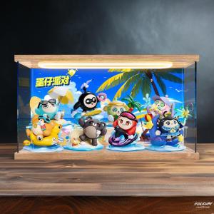 Dustproof Acrylic Display Box