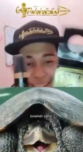 massage oilmassage body oilminyak minyak urut minyak zakar besar panjanglelakiPerfuma Endura Oil30 ml