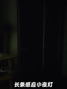 Dải Đèn LED Chiếu Sáng Cốp Xe Ô Tô 10/20/50CM Sạc USB Đèn Khẩn Cấp Thông Minh Từ Tính Cảm Ứng Tự Động Dùng Trang Trí Xe Hơi