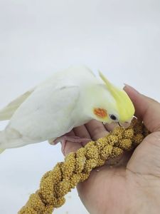 250/500/750g Yellow Spray Millet Parrot Bird Seeds Food for Bird Feeding
