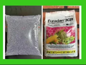 furadan 3GR pembasmi hama repack 500 gram
