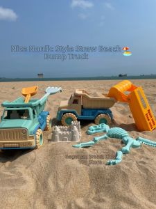 Korean INS Style Children Straw Sand Dumper Play Truck