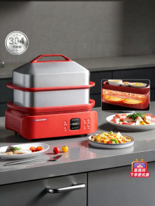 Blaupunkt | Dual Heater Multifunctional Steam Cooker