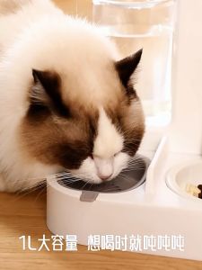 TRENY Large Capacity Cat Feeder2 in 1 Automatic Dog Cat Feeder with Automatic Water Bottle Detachable Food Bowls Set Gravity Food Feeder with Water SetCat Food Dispenser for Dog Cat Pet Easy Clean