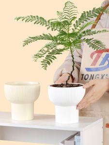 Simplified Ceramic Flower Pot for Houseplants Pothos Orchid Bird of Paradise Special Sale Green Plant Pots of Two Sizes