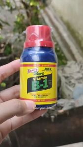 Vitamin B1 Liquinox Taiwan isi 100 ml ORI 100% - Obat Anti Stress Tanaman
