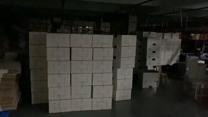 Áo Khoác Chống Nắng Nữ Ngắn Thời Trang - Mỏng Nhẹ Khô Nhanh Phong Cách Âu Mỹ