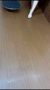 TERVIRALL KOREAN DRESS MATT RAYON PREMIUM BUSUI FRIENDLY PALING MURAH VIRALLDRESS SANTAI OOTD SIMPEL