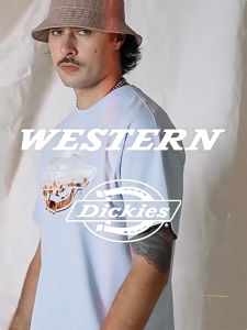 Dickies25 new cool fabric short-sleeved T-shirt with a large LOGO print on the front chest