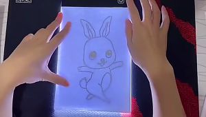 LED Drawing Board Copy Board LED Light Box Tracing Board Stepless Dimming Drawing Board Art Writing Desk A4/a5