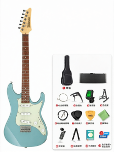 Ibanez | Beginner to Intermediate Electric Guitar