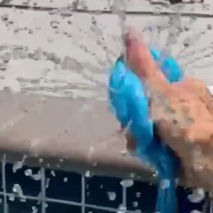 LYZRC Octopus Marine Animals Childrens Bathing Toys TPR Water Playing Toys Octopus Baby Octopus