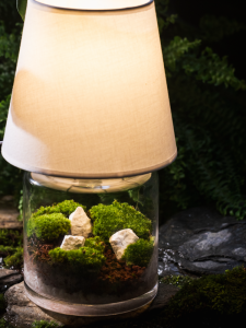 Ecological Bedside Lamp with Moss Micro Landscape by Shengye Creation LED Night Light Bedroom Decor Gift for Birthday