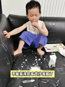 YIFUMEI | Dry Cleaning Foam Cleaner for Textiles