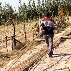 เชือกป่าน 8 ขนาด ความหนา: 2/3/4/5/6/8/10/12 มม. บ้านแมว ของแต่งบ้าน เชือก DIY