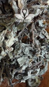 Daun Tempuyung Kering 1kg Asli Hutan Organik