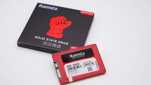 RAMSTA S800 2.5" SATA 3 Solid State Drive / SSD 128GB 256GB 512GB 1TB SSD III for Desktop Laptop Gaming PC & Server. Durable and Lasting WITH FREE 5 in 1 KEYBOARD BRUSH  & EARPHONE BRUSH