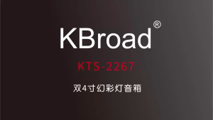 KTS-2267 Bluetooth Karaoke Speaker supporting USB TF LINE IN FM radio TWS (true wireless Bluetooth headphones) Karaoke function and RGB flash light. Equipped with two 4-inch screens and a 2400 mAh battery.