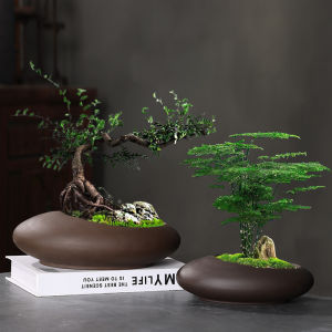 Creative Large Diameter Ceramic Porous Flower Pots for Bonsai Butterfly Orchid Dracaena And Chrysanthemum Flowerpots