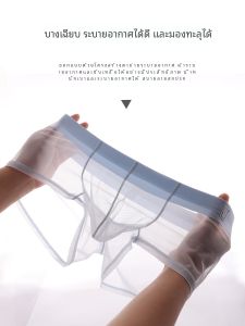 Quần Lót Nam Ice Silk Mesh Mỏng Gợi Cảm Quần Lót Lưới Thoáng Khí Quần Lót Lưng Thấp Màu Trơn Quần Lót Nam Mùa Hè 2024