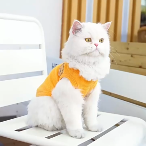Waffle Bear Dog Clothes for Shih Tzu Puppy Tank Top Thin Cat Tshirt Summer Pet Sando