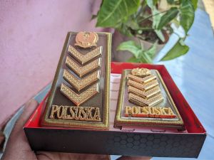 Pangkat POLSUSKA Golongan 2D