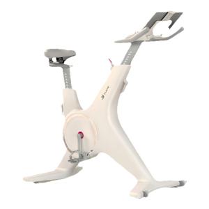 HUAWEI ZHIXUAN | Home Use Fat Burning Exercise Bike