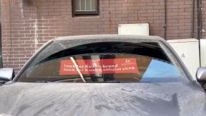 【Fast and Reliable Shipping】 DriveDynasty Mitsubishi STRADA Wiper Set/Pair for All Year Model Mitsu estrada Car Window Wiper