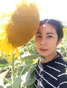 อาหารดอกเผ็จ เมล็ดพันธุ์ทานตะวัน อะควอร่า6 ทั้งเเถมวิธีปลูก ปลูกโชว์ดอก ทนแล้ง ผลลัพธ์สูง