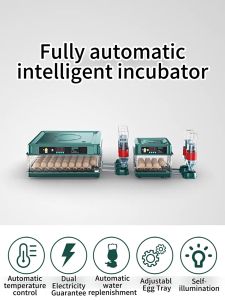 SIEMEN Intelligent Automatic Egg Incubator with Temperature Control and Water Replenishment