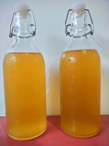 Air kombucha 500ml