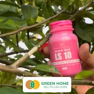 Keo Tạo Rễ Kích Rễ LS10 GreenHome 100g – Ra Rễ Nhanh Rễ Trắng Khỏe - Giâm Hom Chiết Cành Bonsai