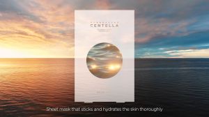 (Bundle Deal)SKIN1004 Centella Watergel Sheet Ampoule Mask 2 Box 10pcs - (Made In Korea) - Hebeloft