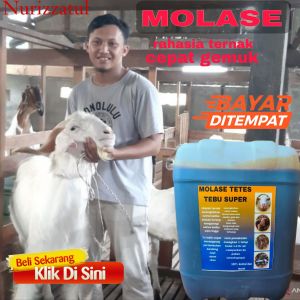 Molase tetes tebu vitamin nya ternak bikin gemuk  ukuran berat 13 kg