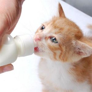 Alat Makan & Botol Susu Kucing & Anjing 60ML