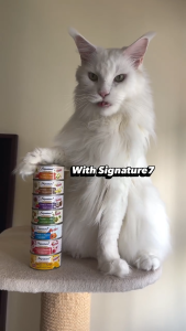 [Carton Deals] Signature7 Nourish Fruits Cat Wet Canned Food in Gravy (80g x 24cans) - 7 Recipes