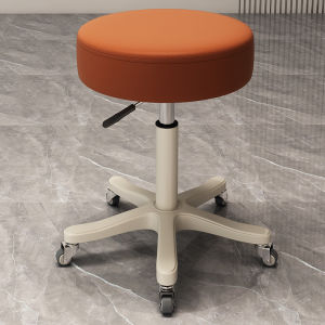 SHICHUANGDINGMING | Beauty Salon Makeup Manicure Rotatable Swivel Stool