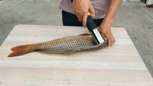 Electric Scale Scraper: A Must-Have for Seafood Lovers