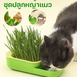 【GUGU-W】ชุดปลูกหญ้าแมว หญ้าแมวออแกนิก เมล็ดข้าวสาลี ถาดเพาะต้นอ่อน 1 ชุด เมล็ดพืช5แพ็ค