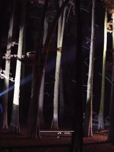 สว่างมากๆ ส่องแสงระยะ ALDIES LED ไฟฉายคาดหัวแท้ ไฟฉายพลังงานสูงแท้ กันน้ําทนทาน* ไฟฉายสว่างมากๆ ชาร์จได้ไฟส่องกบคาดหัว ไฟสายคาดหัว ไฟส่องสัตว์