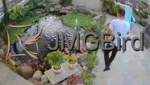 JMGBird Outdoor Pillows Set of 2 Waterproof Outdoor Pillow Covers 12x20 Inch Outdoor Throw Pillow Covers 2 Color Combinations