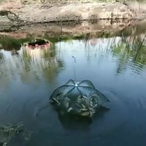 แพ็ค 10 ชิ้น มุ้งดักปลา มุ้งดักกุ้งฝอย รอกตกปลา 4ช่อง 6 ช่อง 8 ช่อง 10 ช่อง สั่งซื้อดูตัวเลือกสินค้าก่อนนะคะ (จัดส่งจากประเทศไทย)