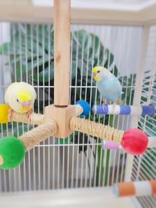 Puzzle Toys Bird Cage Decoration Parrot Stand Peony Chewable Windmill Wooden Bird Toy for Parrots And Caged Birds