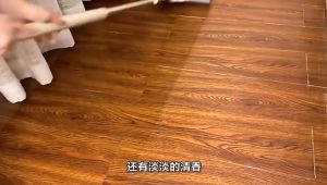 30pcs Multipurpose Floor Cleaning Wipes - Antibacterial Fragrance-Infused Non-Slip 多效地板清洁湿巾 - 抑菌留香 防滑环保