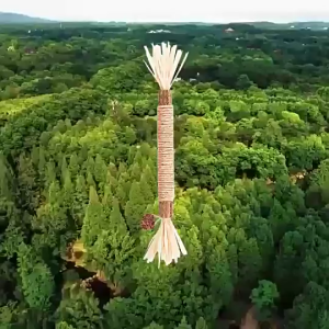 [LOCAL STOCK]Catnip Stick Treat Silvervine Matatabi Teeth Molar Cleaning Cat Chew Stick Catmint Catswort Kucing Makanan